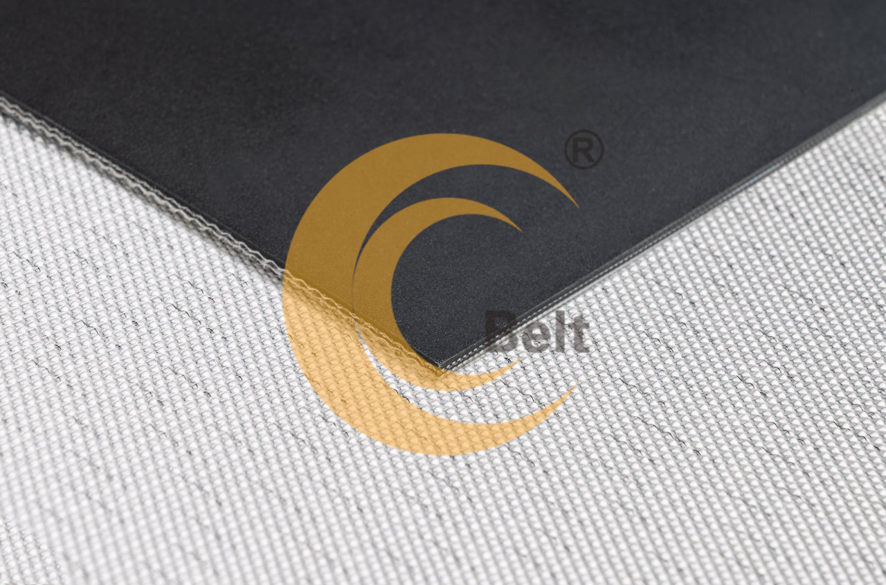 Textile Printing Belt with Reinforced Polyester EM Fabric