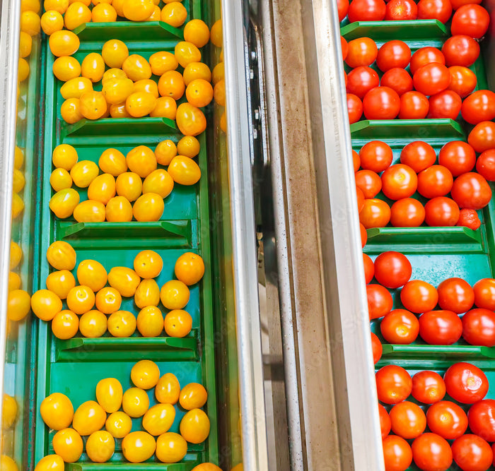 agro conveyor belt