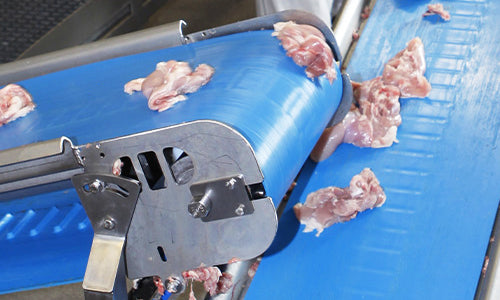 Positive Drive Conveyor for Poultry